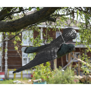 Eagle bird repeller