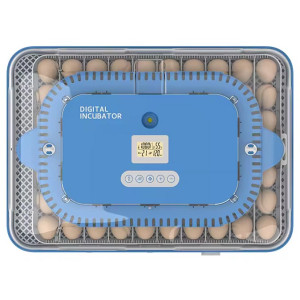 Automatical incubator "Wonegg 70В"