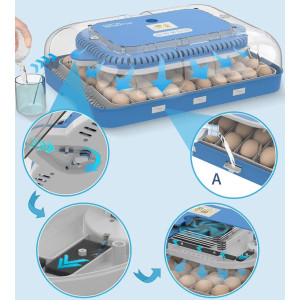 Automatical incubator "Wonegg 70В"