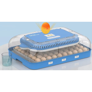 Automatical incubator "Wonegg 70В"